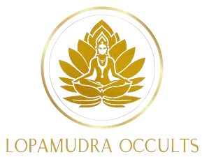 LMO_Color_palette_and_Logo__1_-03-removebg-preview