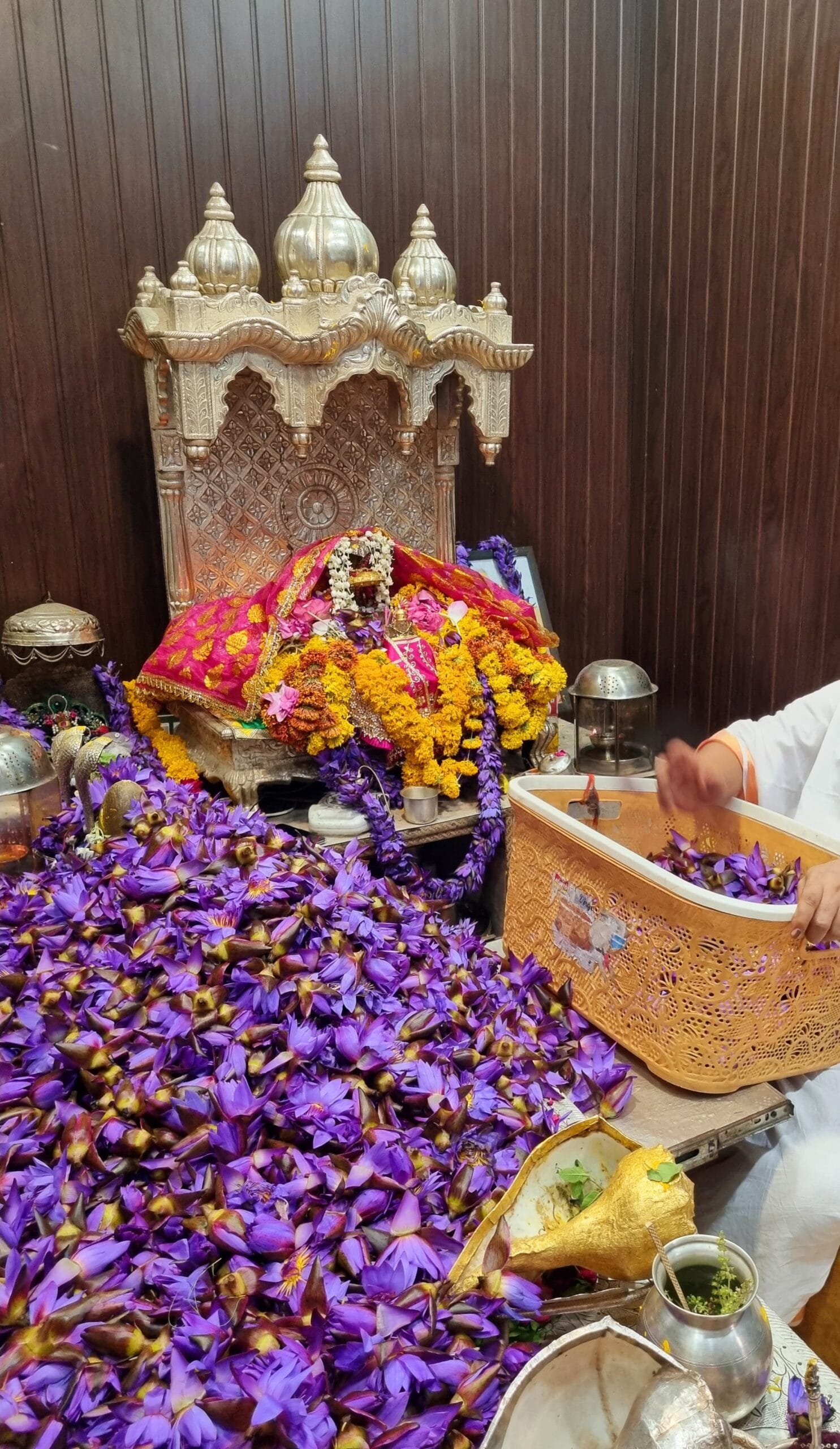 Devi Neel kamal Archana